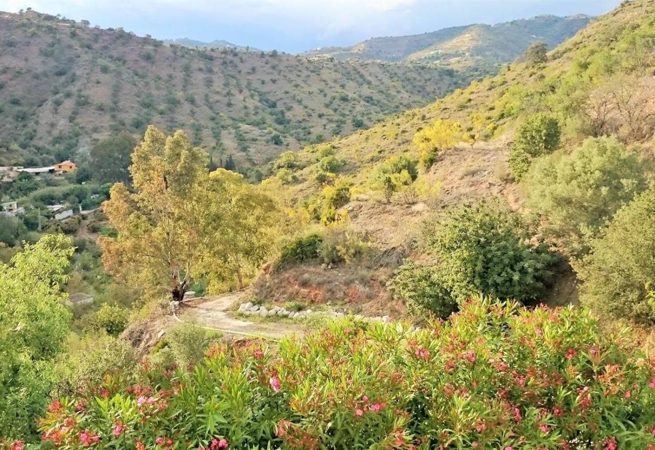 Finca Santa Matilde Málaga Kültér fotó