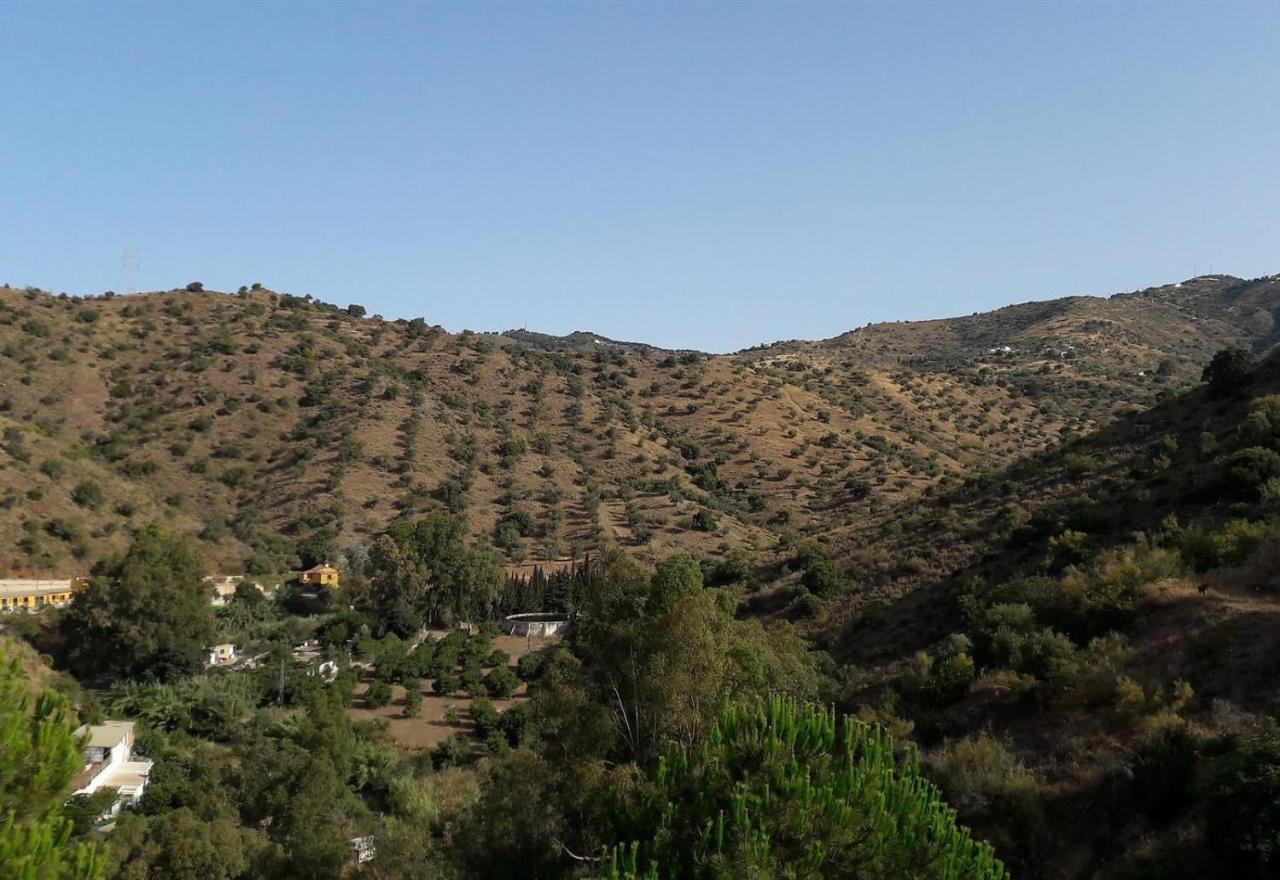 Finca Santa Matilde Málaga Kültér fotó