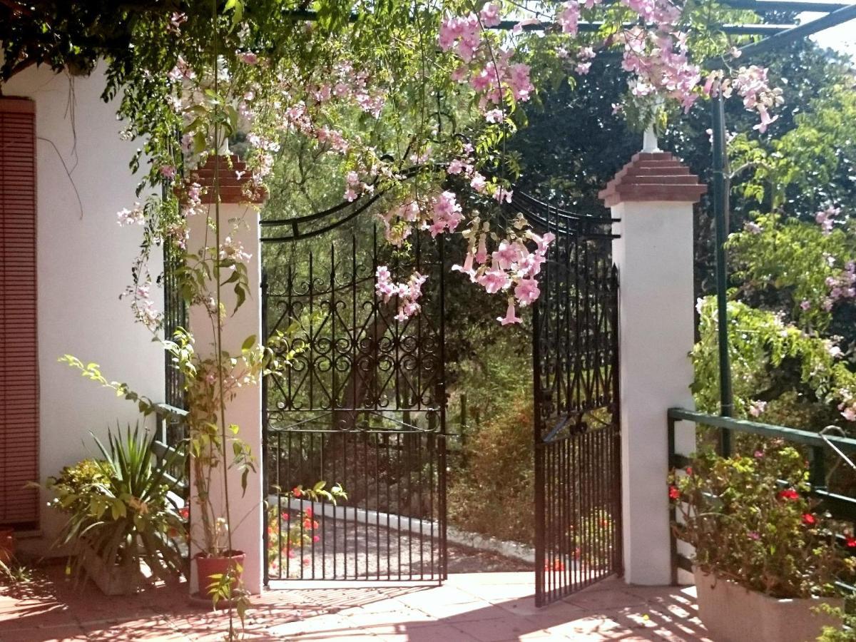 Finca Santa Matilde Málaga Kültér fotó