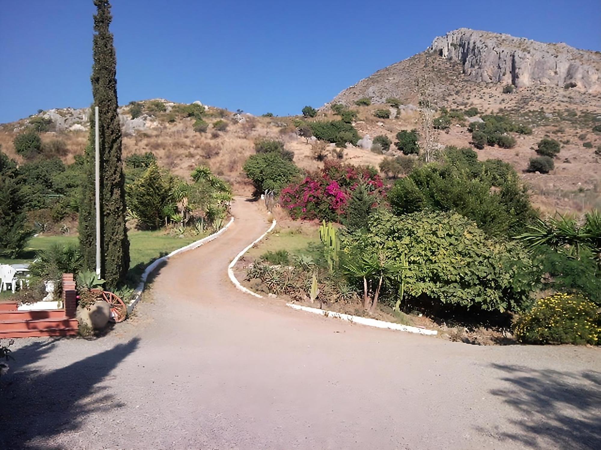 Finca Santa Matilde Málaga Kültér fotó